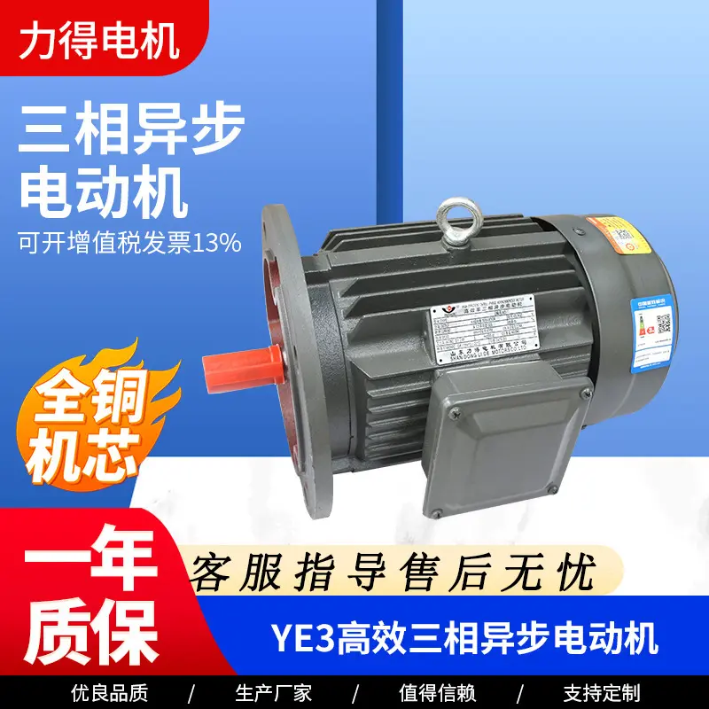 YE3系列三相异步电动机