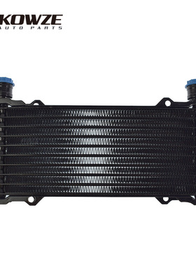 20880895适用于CHEVROLET AVALANCHE 6.0L SIERRA 1500 2500 3500