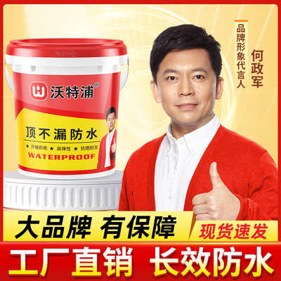 沃特浦防水涂料屋顶材料楼顶屋顶漏水专用防漏防水胶补漏裂缝渗水
