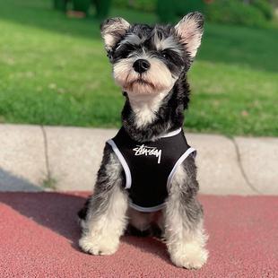 潮牌泰迪比熊博美雪纳瑞贵宾小型犬猫咪宠物衣服 狗狗背心春秋薄款