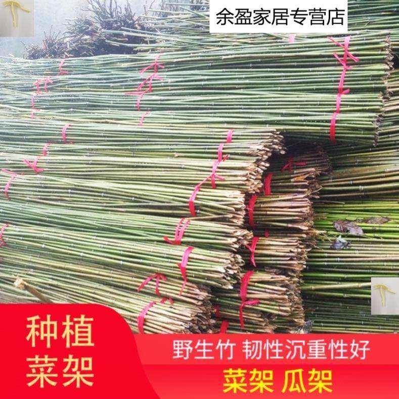 豆角菜园搭架竹子围栏瓜架庭院竹竿子搭棚架黄瓜家用花园小篱笆围