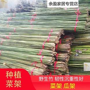 豆角菜园搭架竹子围栏瓜架庭院竹竿子搭棚架黄瓜家用花园小篱笆围