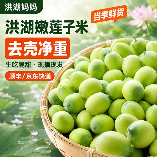 洪湖嫩莲子米湖北新鲜莲子米不带蓬纯莲子米生吃脆甜现摘嫩莲蓬