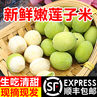 洪湖新鲜嫩莲子米生吃脆甜