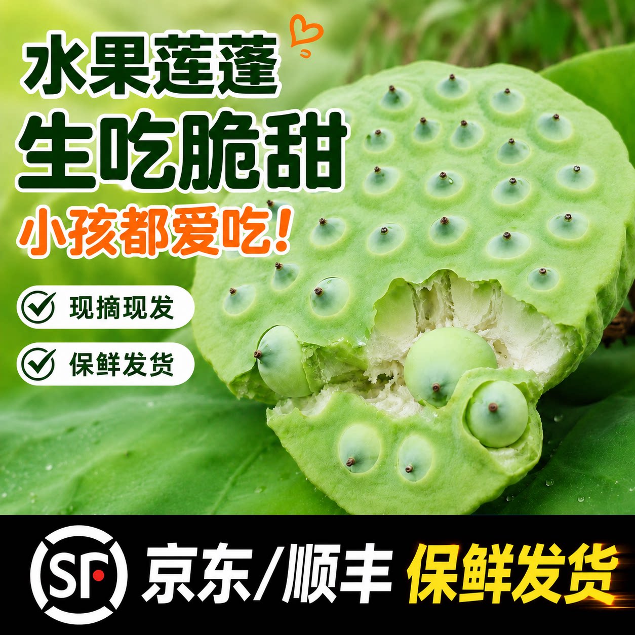洪湖嫩莲蓬新鲜水果莲蓬生吃脆甜嫩莲子米湖北特产现摘现发顺丰