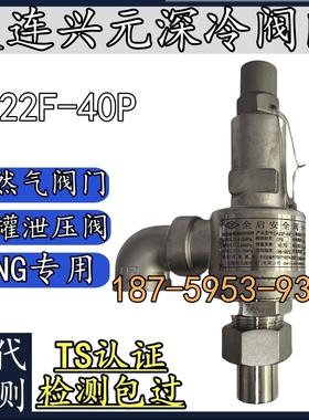 大连兴元深冷阀门DA21F-40P低温安全阀DA22F-40P天然气LNG安全阀