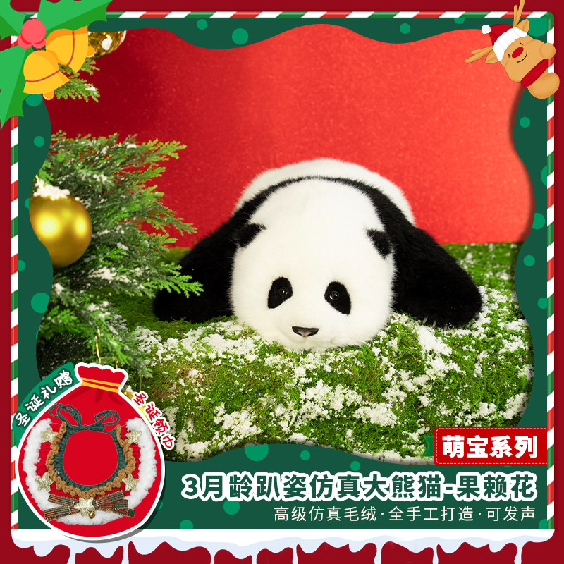 西柚熊猫3月龄趴姿花花和叶/萌兰熊猫工厂发声款毛绒玩偶圣诞礼物