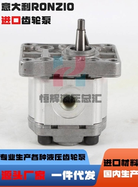 新款罗茨液压泵RONZIO齿轮泵05ZAG 01ZAG 02ZAG 02ZCG 03ZAG35油