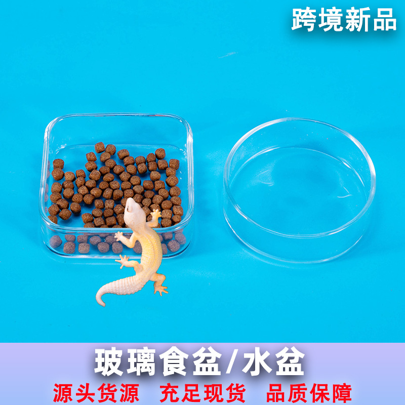 爬宠玻璃食盆水盆爬虫箱造景睫角守宫蜥蜴树栖宠物用品