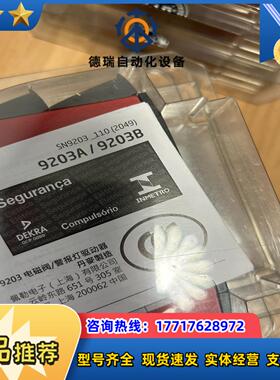 PR 佩勒 PR9203 模拟量模块PR9203B1B，全新议价