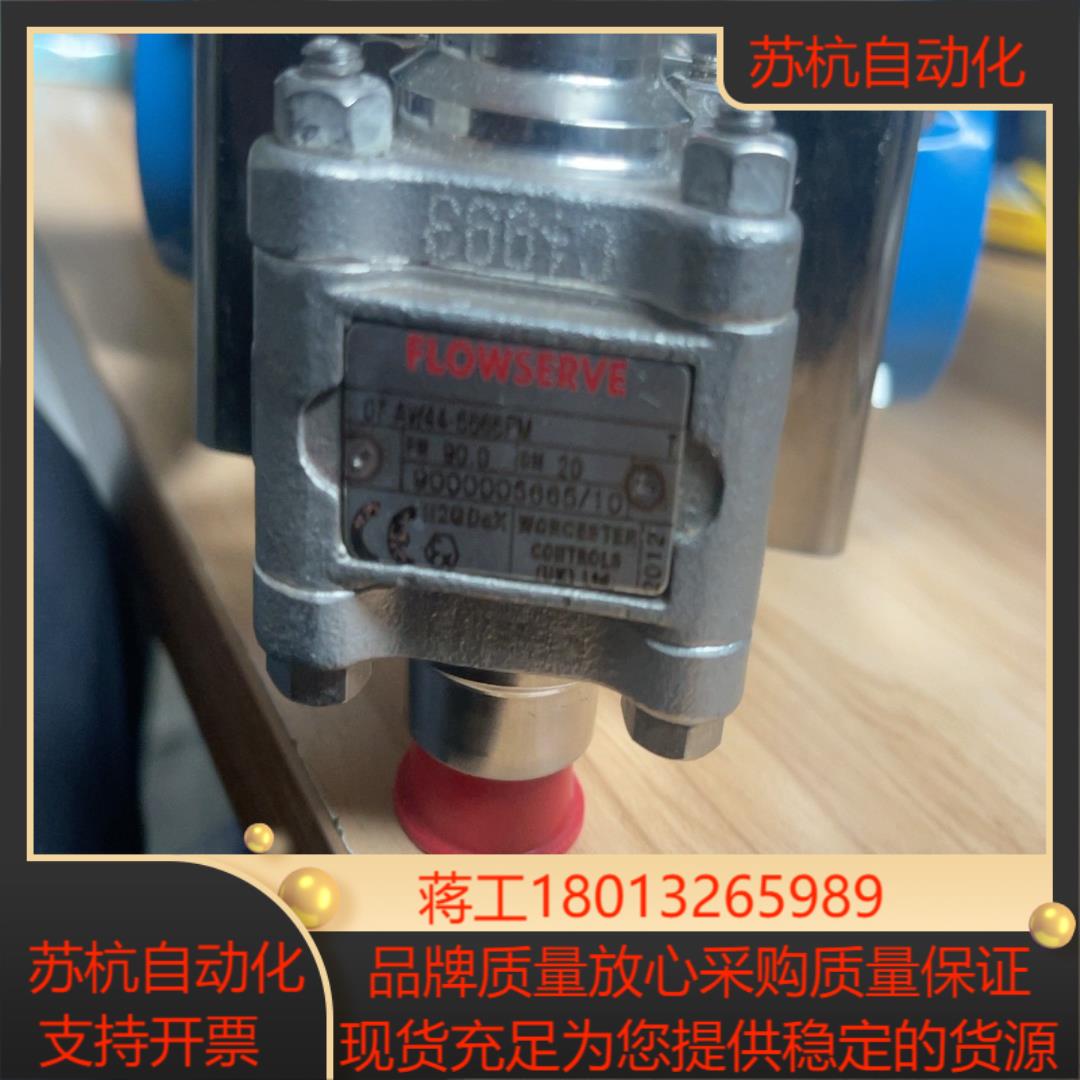 FLOWSERVE 07-AW44-6666PM定位器