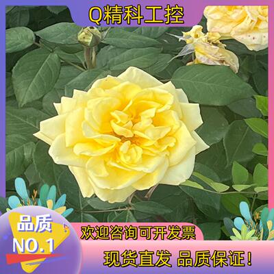 现货康耐视CCB-84901-2001-05