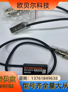 RENISHAW雷尼绍 RGH22Y30D61 01um