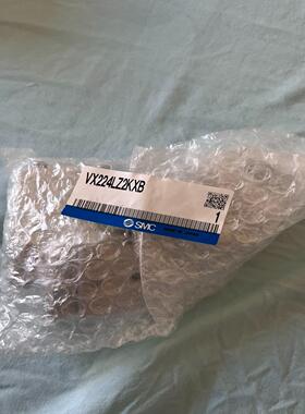 SMC电磁阀 VX224LZ2KXB 全新没有使用过，实物请