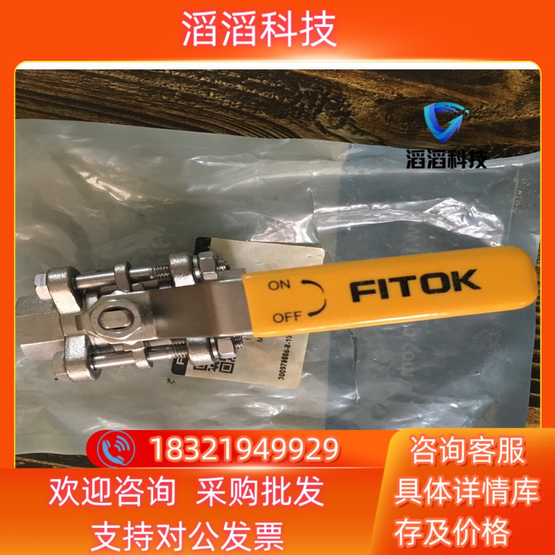 现货FITOK  球阀 BGSS-FRP8-15  1000ps