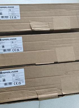 倍加福ICE1-8IOL-G60L-V1D