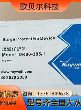 RAYWELL 单相防雷器 DR80－385/1   4