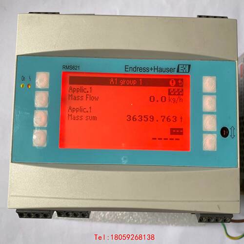 【非标价】E+H RMS621