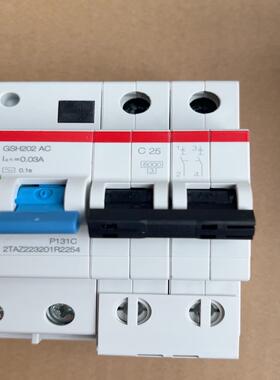 10174382  GSH202 AC-C25/0.0