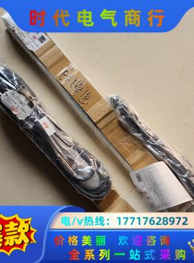 电动滑台RCP2-SA6C-I-42P-6-300-P3-S议价