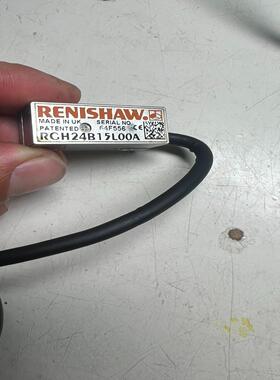 RENISHAW 雷尼绍 RCH24B15L00A 光栅尺读