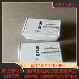 PGE 未使用 50A2M 全新原装 灰点相机BFLY