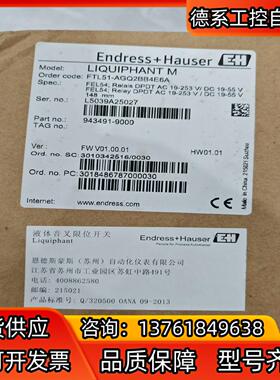 EndressHauser 音叉Order code：FT