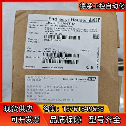 EndressHauser 音叉Order code：FT