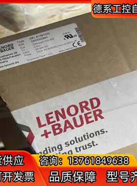 LENORDBAUER蓝宝电机LB GEL6109Y02