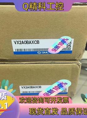 现货SMC全新原装VX2A0BAXCB电磁阀  单