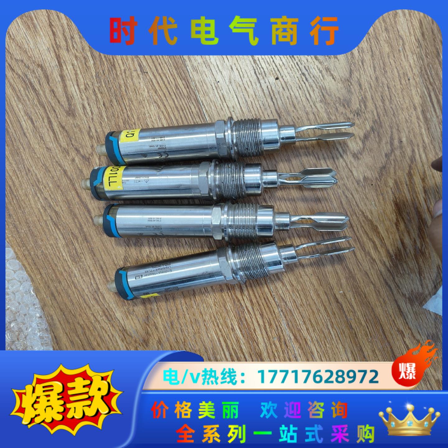 德国E+H恩德斯豪斯音叉液位开关FTL33-10R4/0