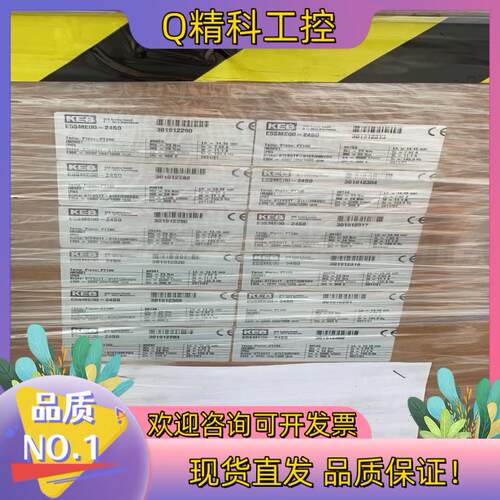 现货全新KEB科比伺服电机E5SME00-24S0有