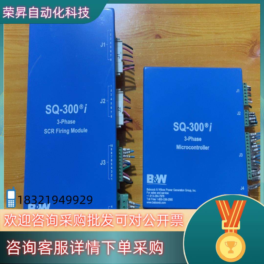 现货B&W巴威SQ-300I8700700-004B2,870