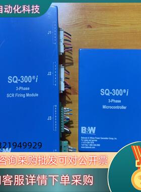 现货B&W巴威SQ-300I8700700-004B2,870