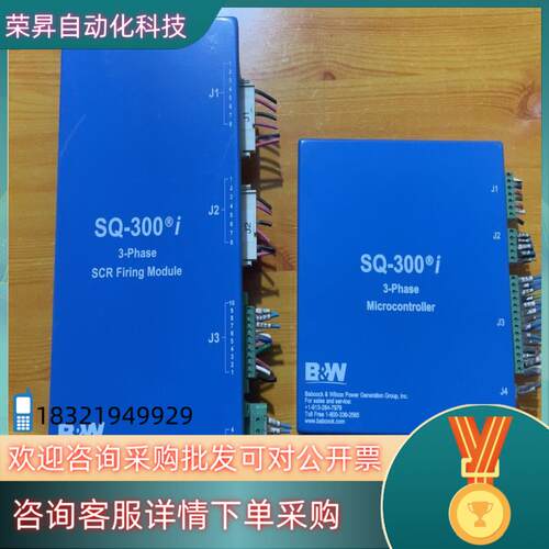 现货B&W巴威SQ-300I8700700-004B2,870