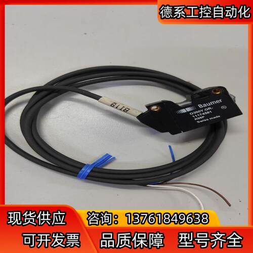 O300Y.GR-11174581