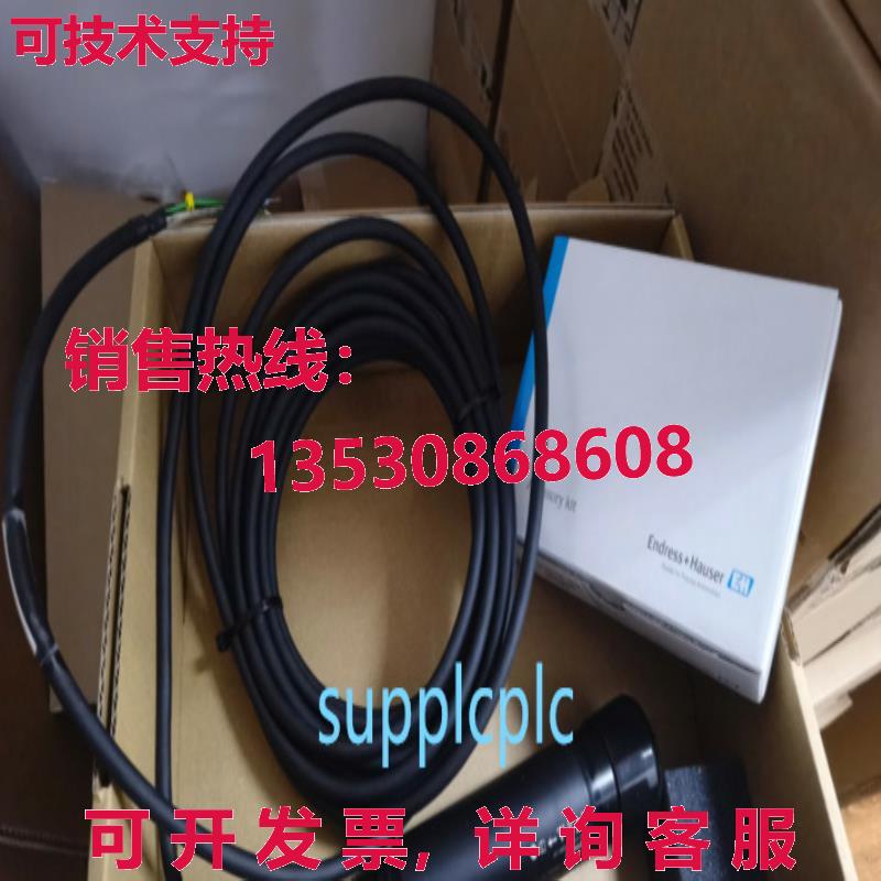 原装供应E+H 溶解氧传感器 COS41-2F