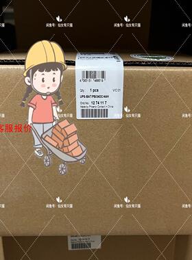 1274117  UPS-BAT/PB/24DC/4AH大功