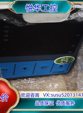 原装东辉仪表DY2000议