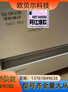 原装正品费斯托FESTO齿型带式电缸EGC-120-1724