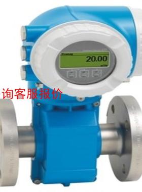 【环球】Proline Promag P 300