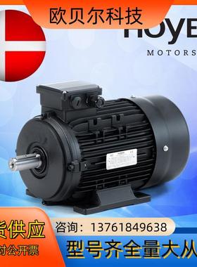HＯYER电机丹麦霍尔三相异步电动机工业船用HMA2