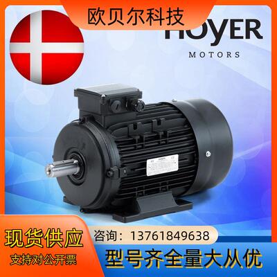 HＯYER电机丹麦霍尔三相异步电动机工业船用HMA2