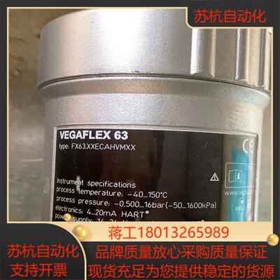 德国罗斯蒙特液位仪VEGAFLEX 63