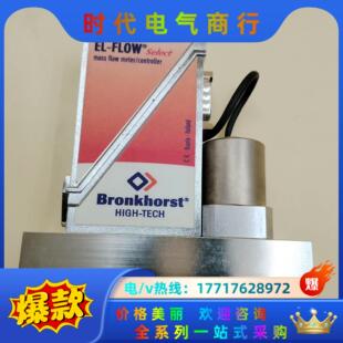 050SV BRONKHORST APP FLOW 1议价