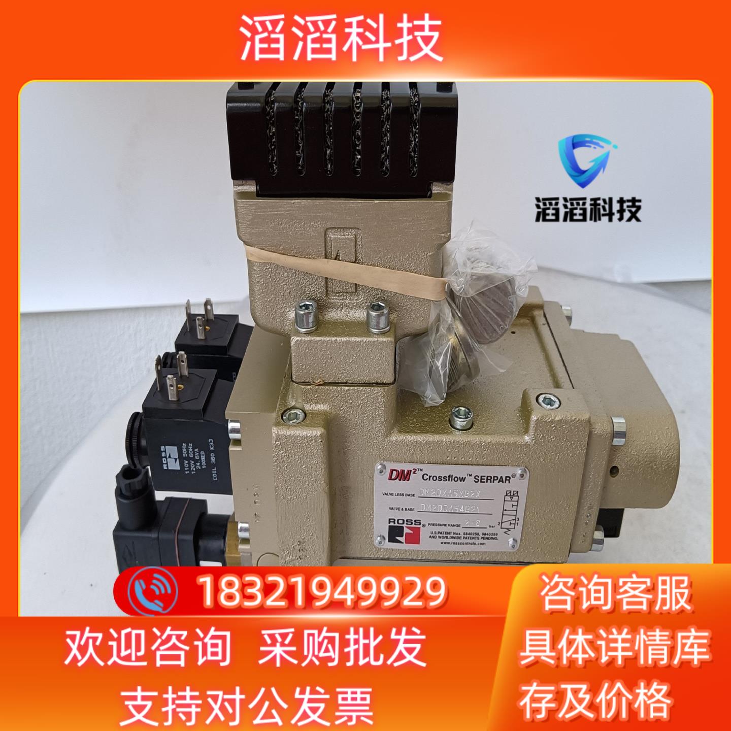 现货ROSS电磁阀DM2DDA54B216500