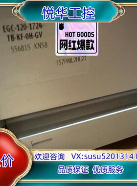 原装正品费斯托FESTO齿型带式电缸EGC-120-1724议价