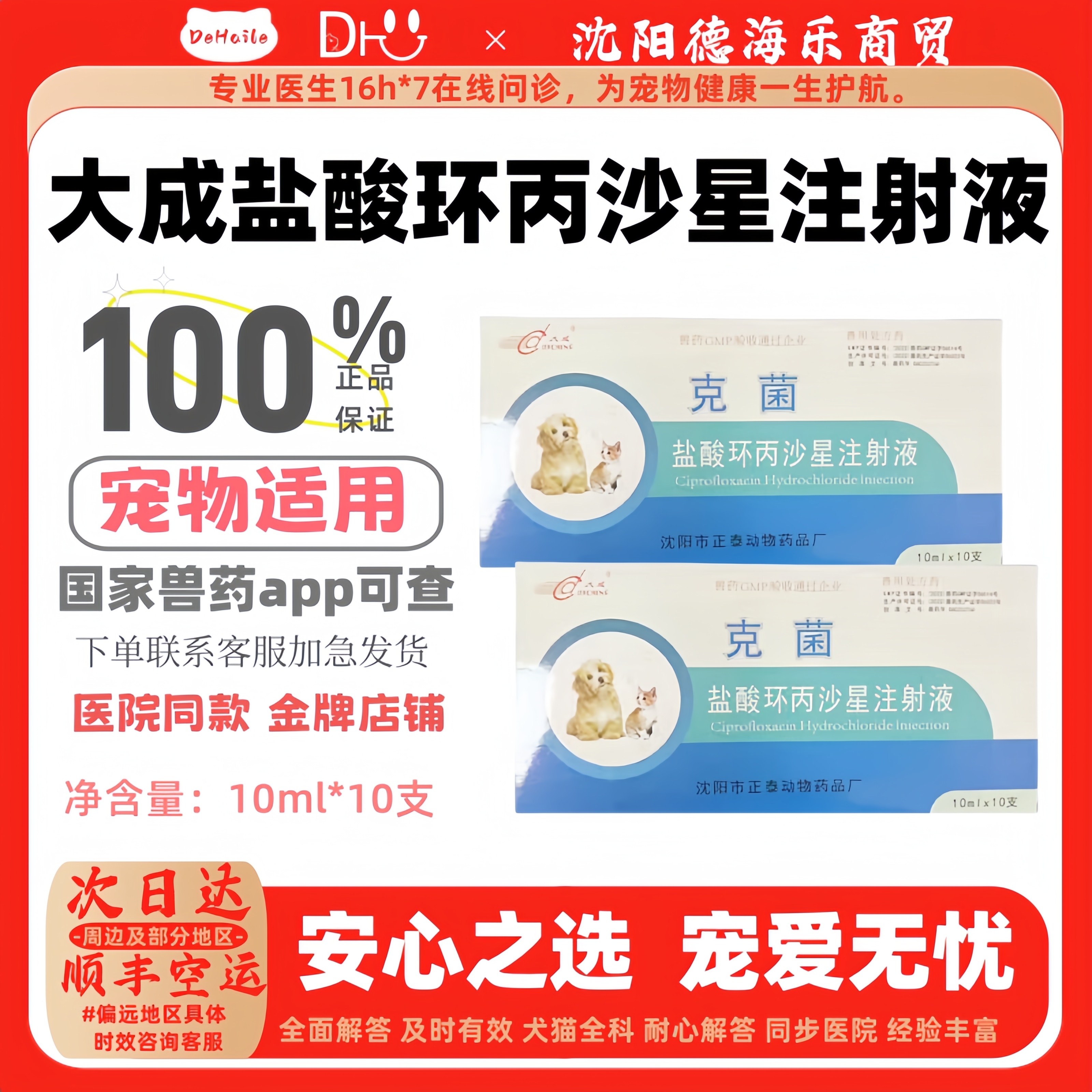 大成盐酸环丙沙星注射液10ml十支用于细菌和支原体感染医院同款