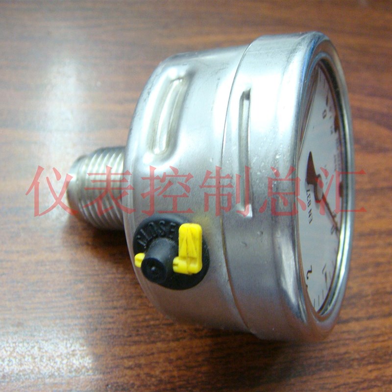 压力表  (EN837-1)不锈钢耐震压力表轴向 YN60Z  0-10bar