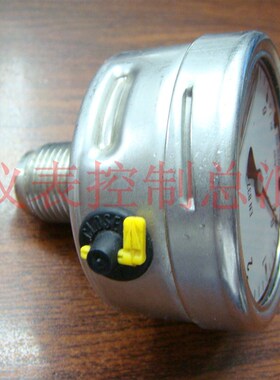 压力表  (EN837-1)不锈钢耐震压力表轴向 YN60Z  0-10bar